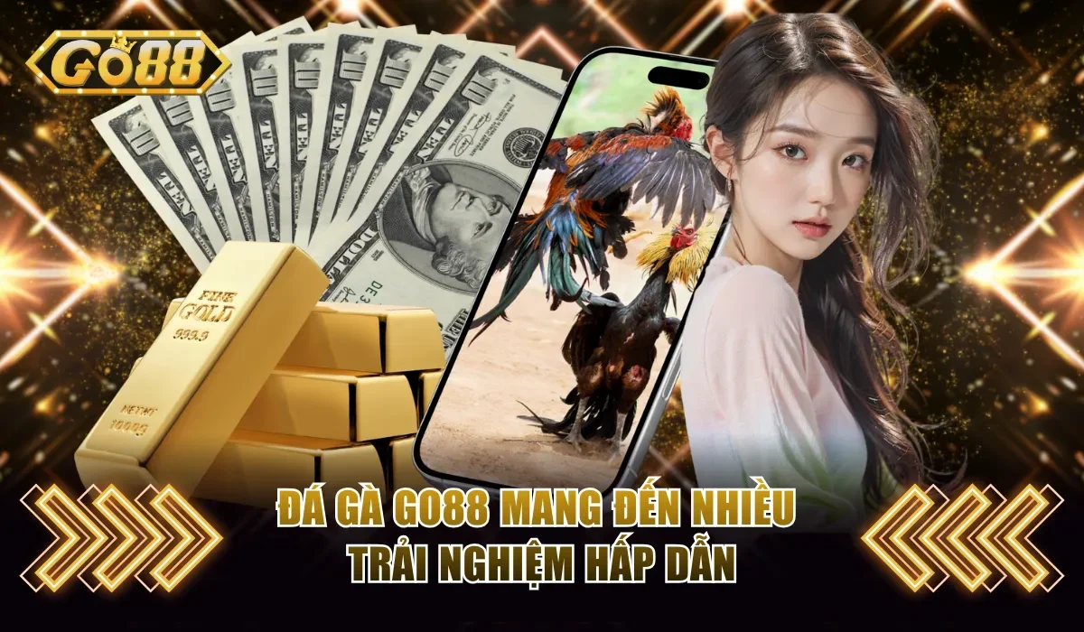 Đá gà Go88 mang đến nhiều trải nghiệm hấp dẫn