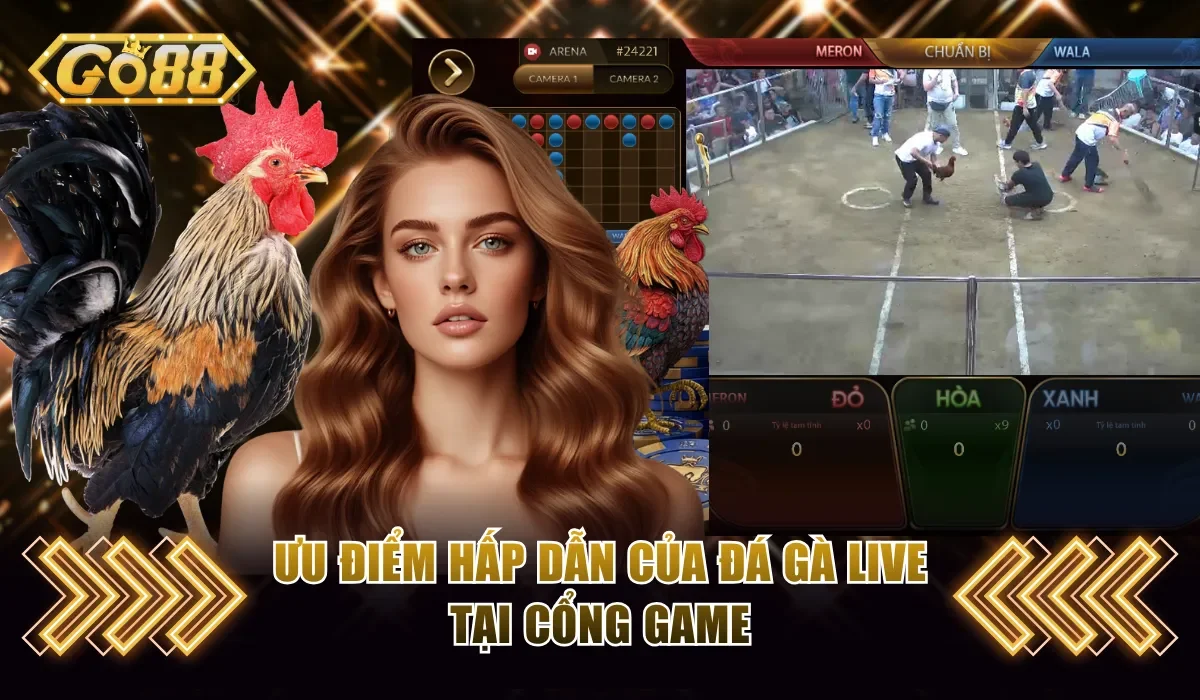 Ưu điểm hấp dẫn của đá gà live tại cổng game