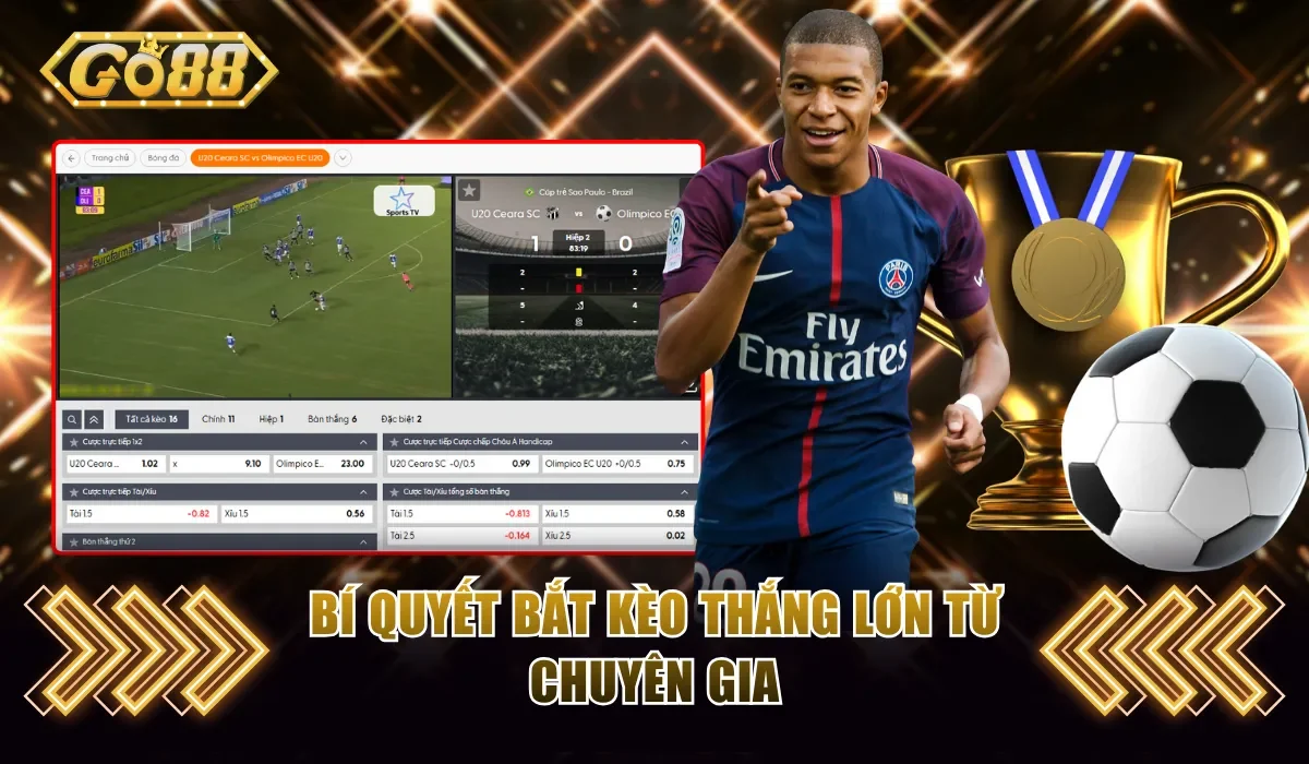 Bí quyết bắt kèo thắng lớn từ chuyên gia