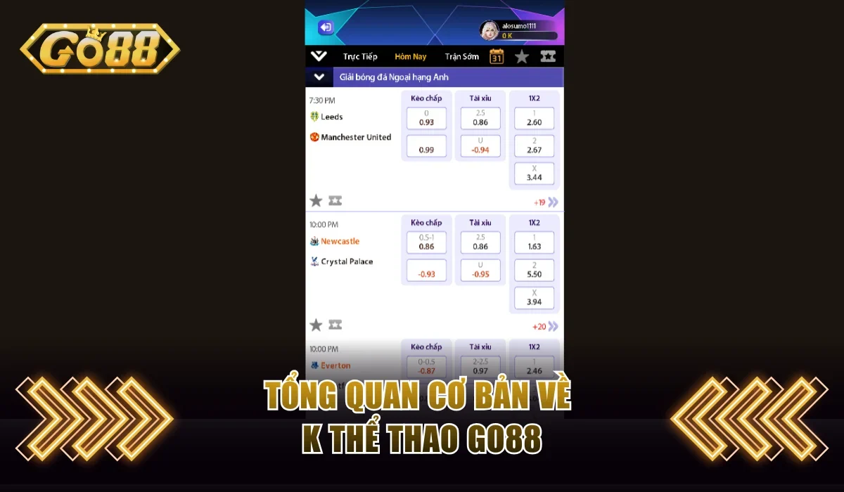 Tổng quan cơ bản về K thể thao GO88